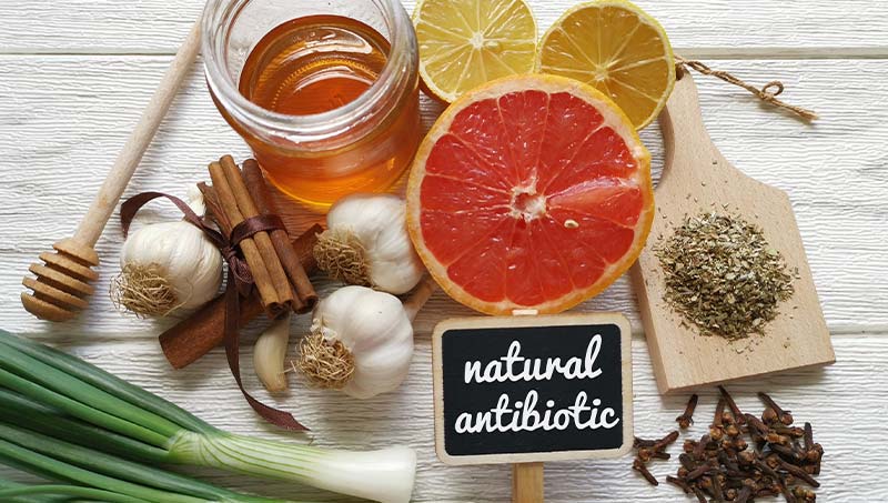 image of 11 natural antibiotic foods like honey, garlic, and oregano